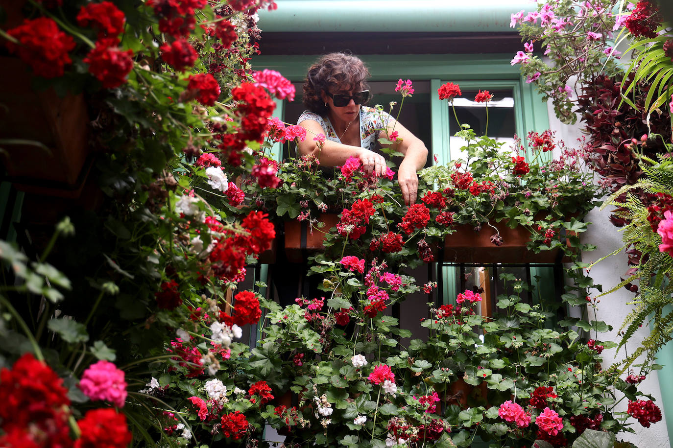 Fotos: los preparativos para el comienzo de los Patios de Córdoba
