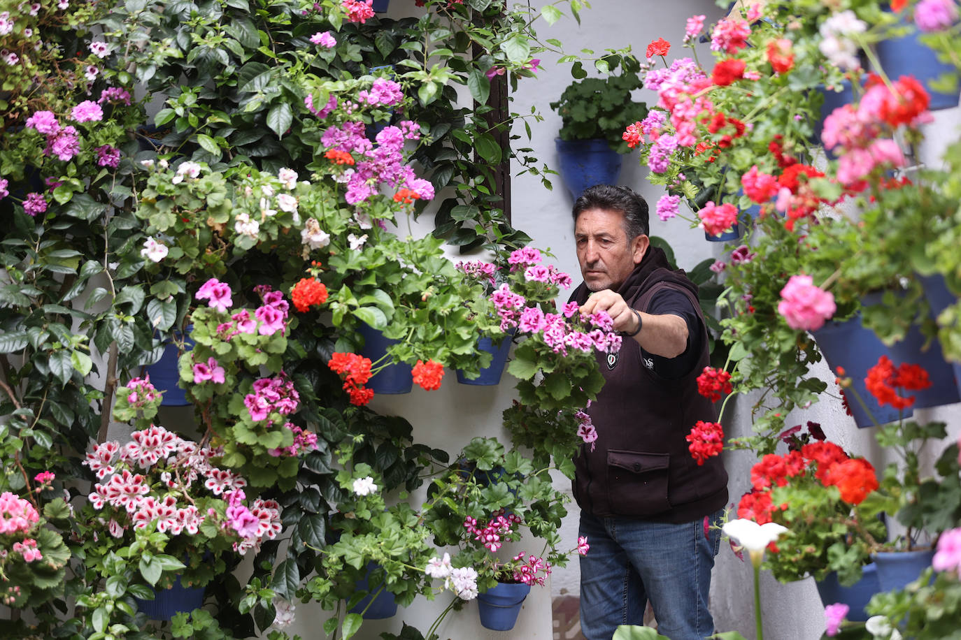 Fotos: los preparativos para el comienzo de los Patios de Córdoba
