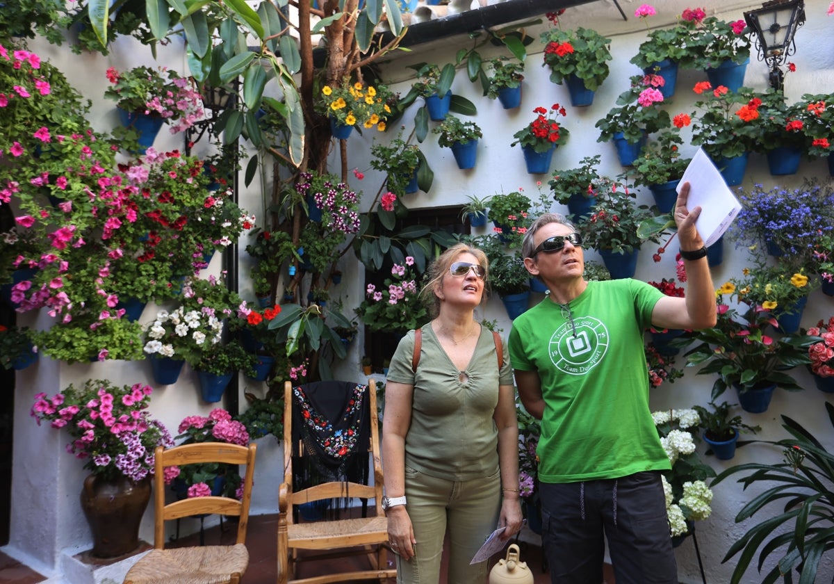 Visitantes observan la belleza de los Patios