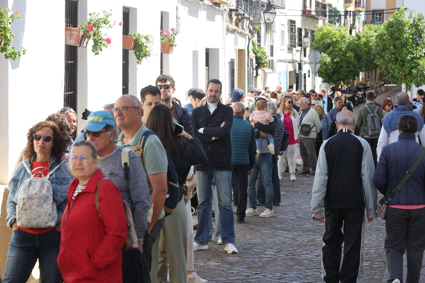 Las mejores imágenes de los Patios de Córdoba en los barrios de Santa Marina y San Agustín