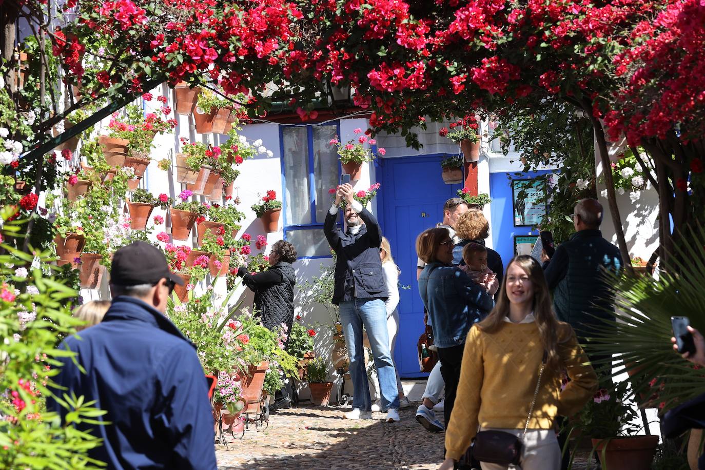 Las mejores imágenes de los Patios de Córdoba en los barrios de Santa Marina y San Agustín