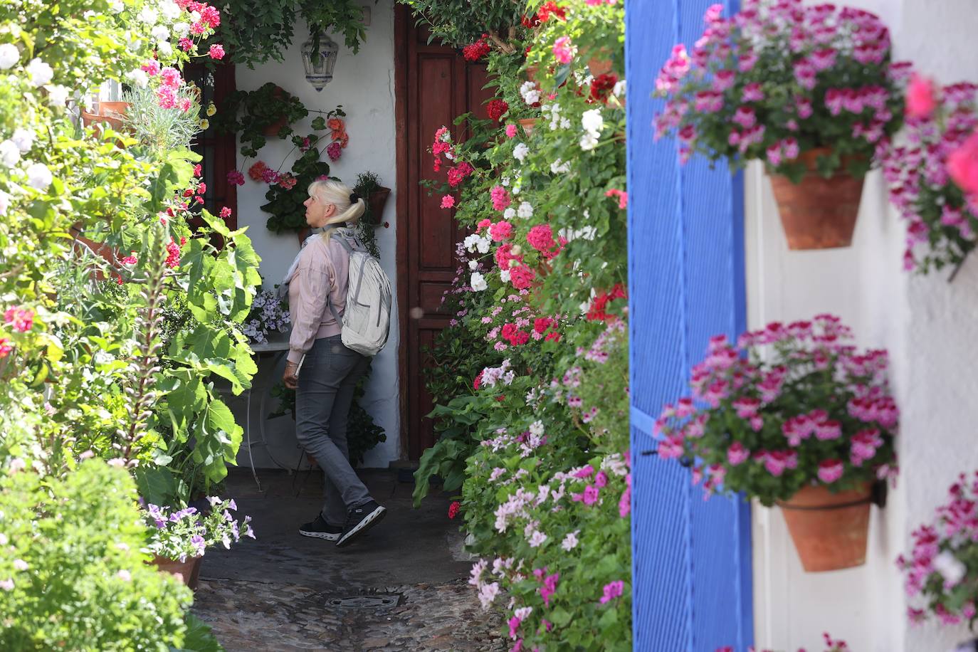 Las mejores imágenes de los Patios de Córdoba en los barrios de Santa Marina y San Agustín