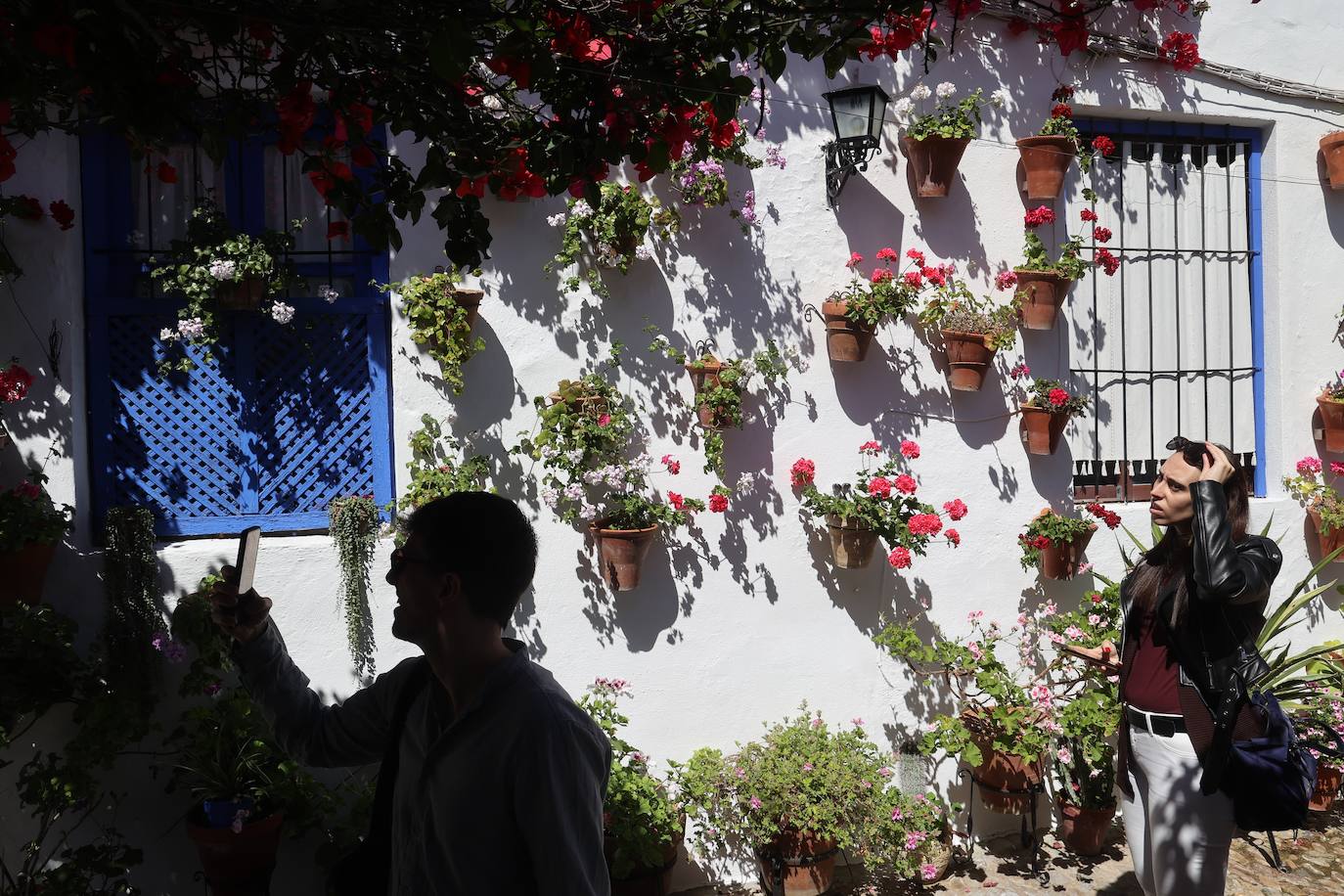 Las mejores imágenes de los Patios de Córdoba en los barrios de Santa Marina y San Agustín