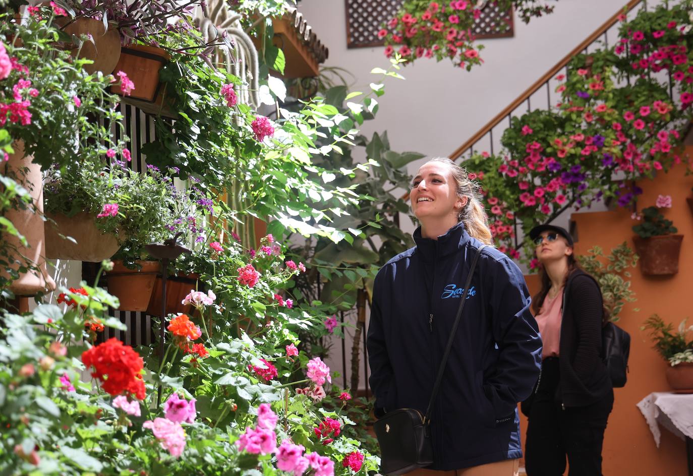 Las mejores imágenes de los Patios de Córdoba en los barrios de Santa Marina y San Agustín