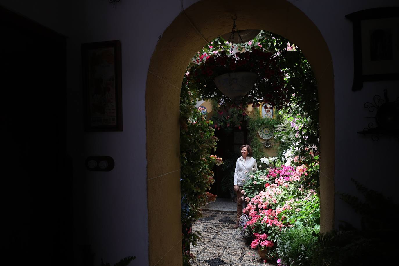 Las mejores imágenes de los Patios de Córdoba en los barrios de Santa Marina y San Agustín