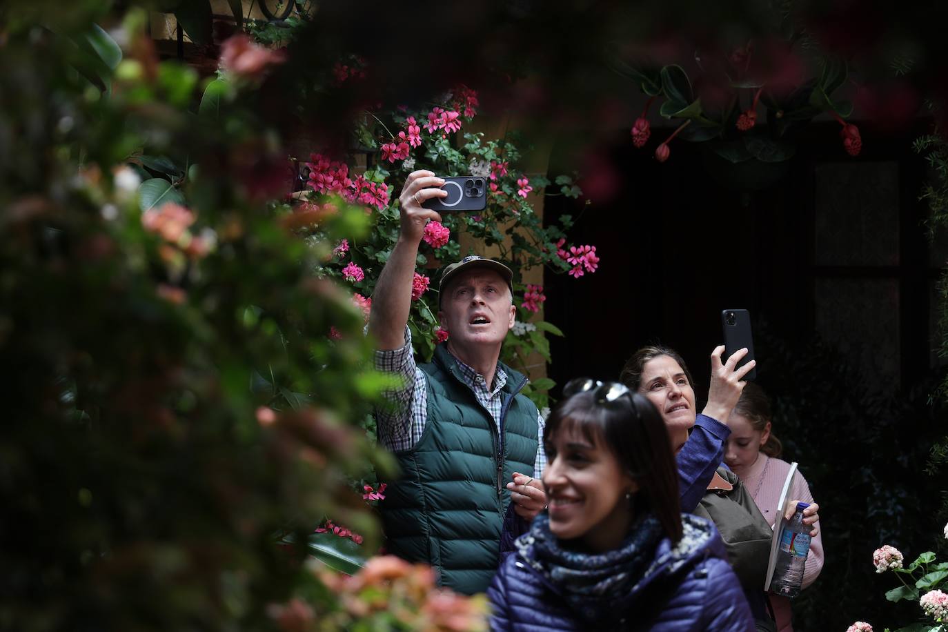 Las mejores imágenes de los Patios de Córdoba en los barrios de Santa Marina y San Agustín