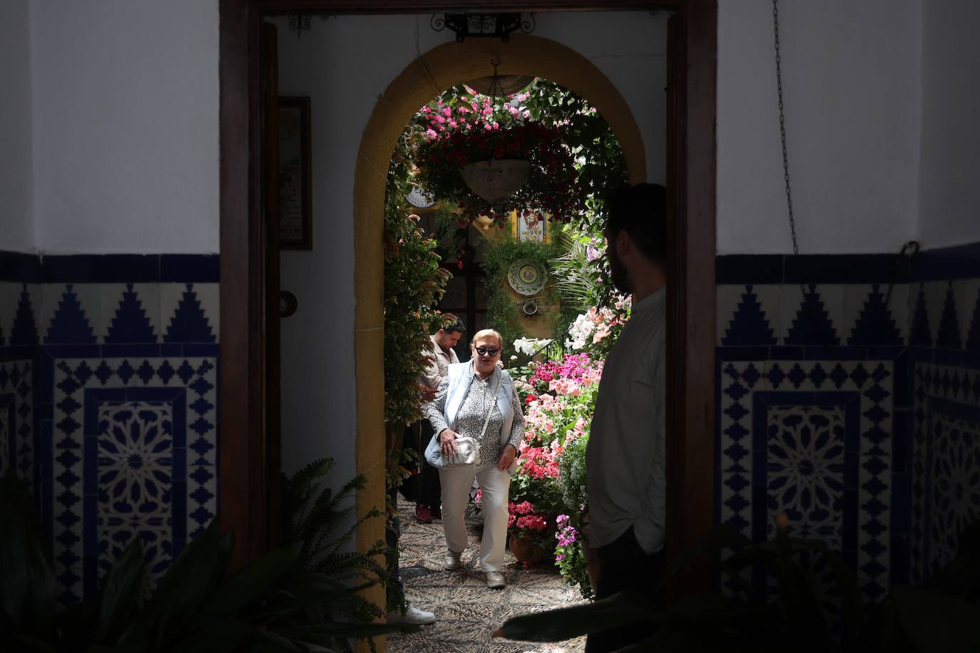 Las mejores imágenes de los Patios de Córdoba en los barrios de Santa Marina y San Agustín