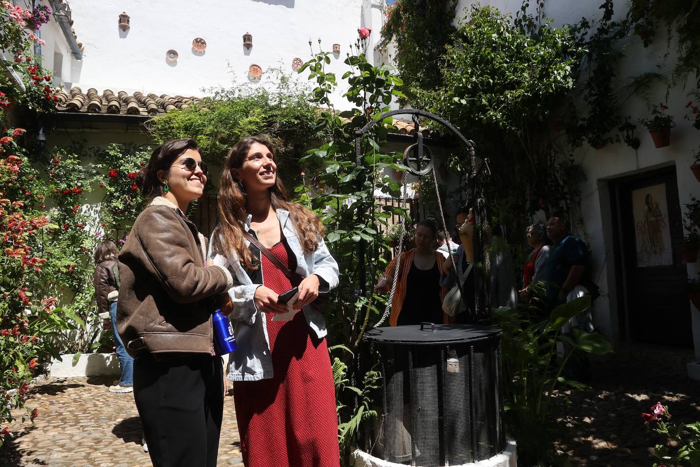 Las mejores imágenes de los Patios de Córdoba en los barrios de Santa Marina y San Agustín