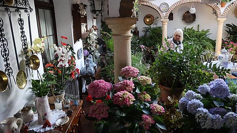 Patio de Córdoba con flores