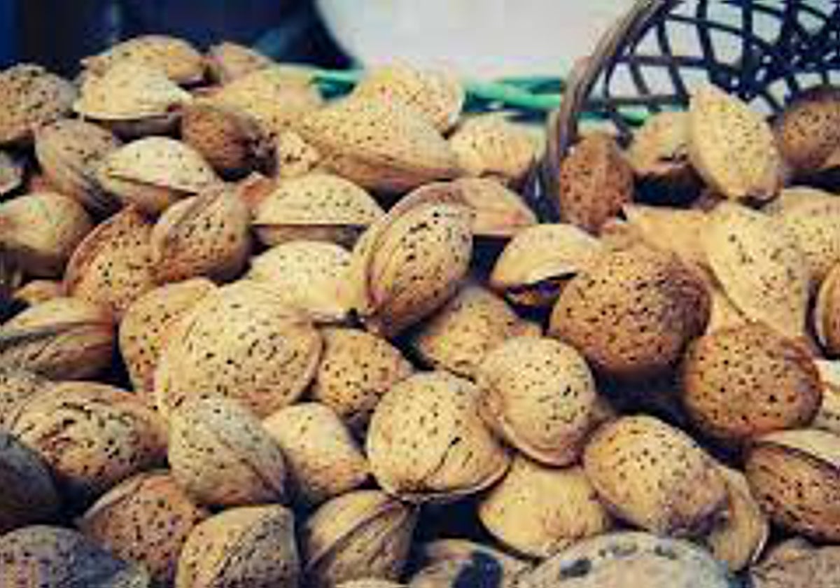 Almendras americanas