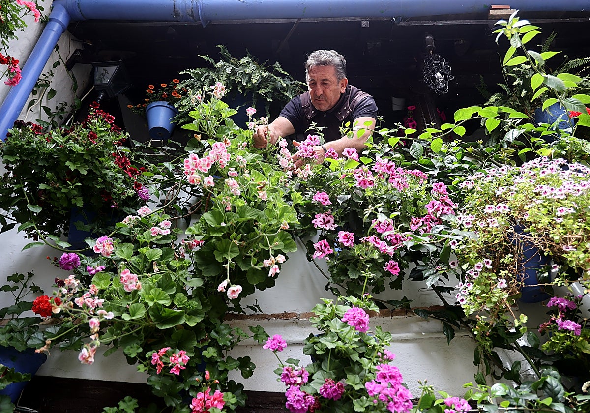 Preparativos en el patio del barrio de San Basilio