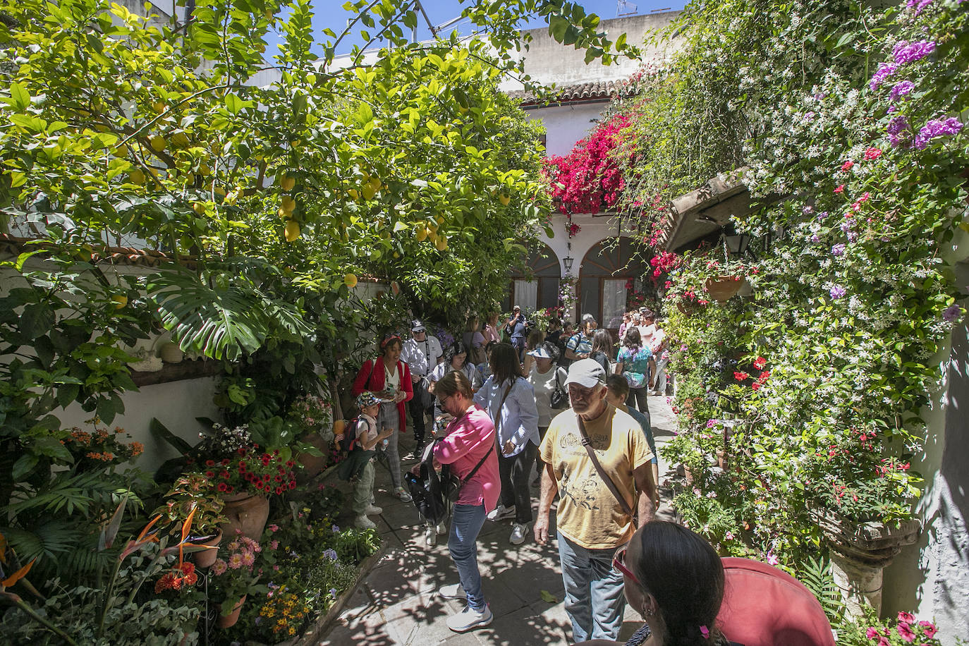 El ambientazo del primer sábado en Los Patios de Córdoba