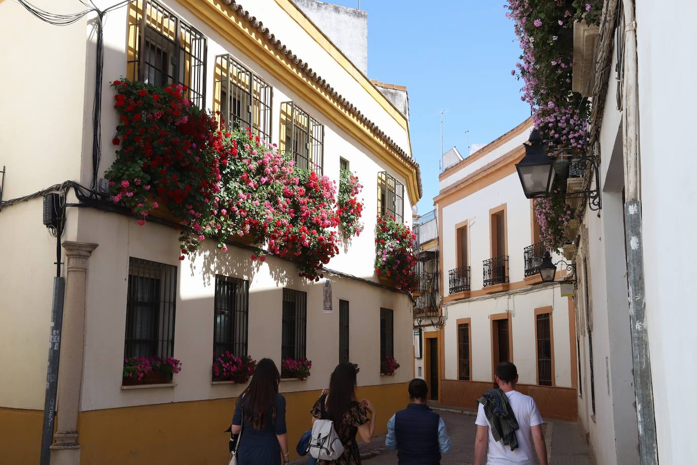 Fotos: Los bellos primeros premios del Concurso de Rejas y Balcones de Córdoba 2024