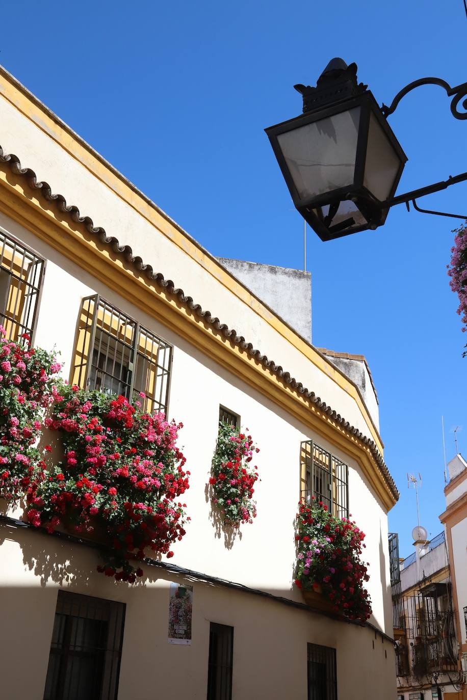 Fotos: Los bellos primeros premios del Concurso de Rejas y Balcones de Córdoba 2024