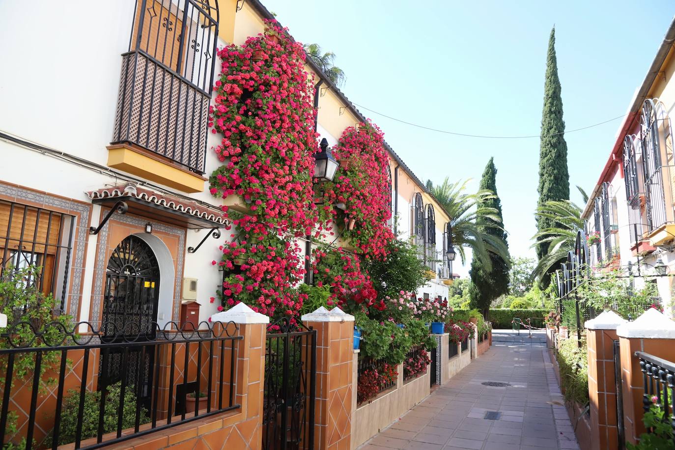 Fotos: Los bellos primeros premios del Concurso de Rejas y Balcones de Córdoba 2024