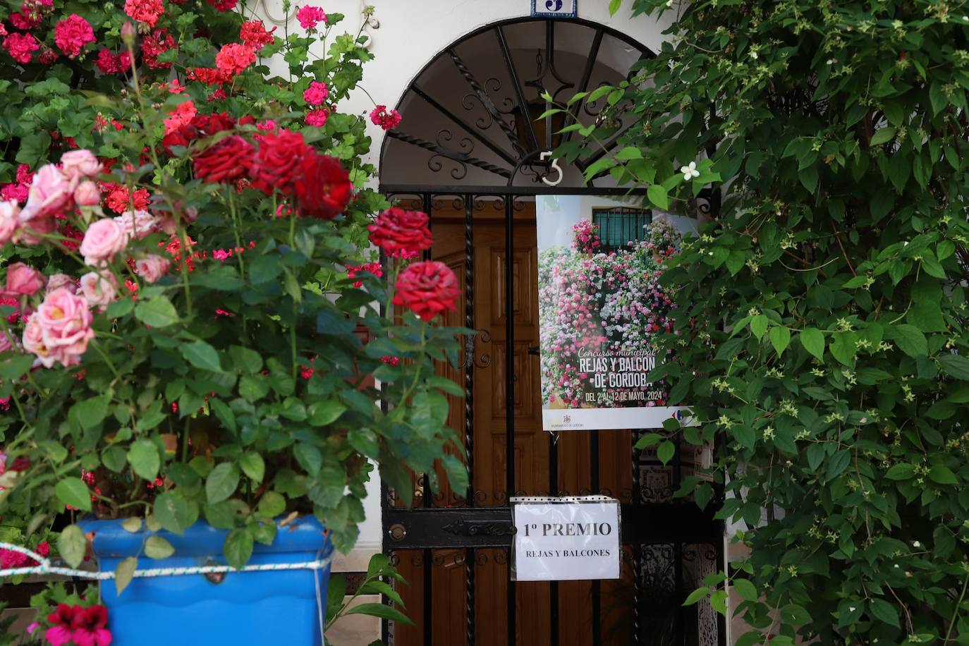 Fotos: Los bellos primeros premios del Concurso de Rejas y Balcones de Córdoba 2024