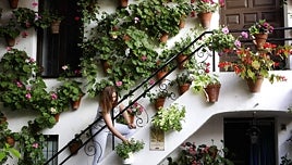 ¿Por qué se celebran los patios de Córdoba? Este es su origen