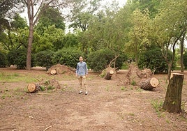 El PSOE urge al gobierno del PP a reponer el arbolado del Parque Cruz Conde de Córdoba