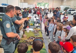 Las imágenes de la exhibición de medios de la Guardia Civil ante los niños de Montilla