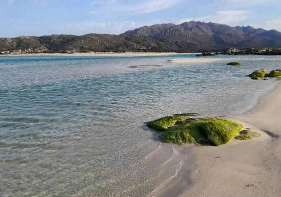 La playa de Galicia donde se unen las marismas con el océano que recomienda visitar National Geographic