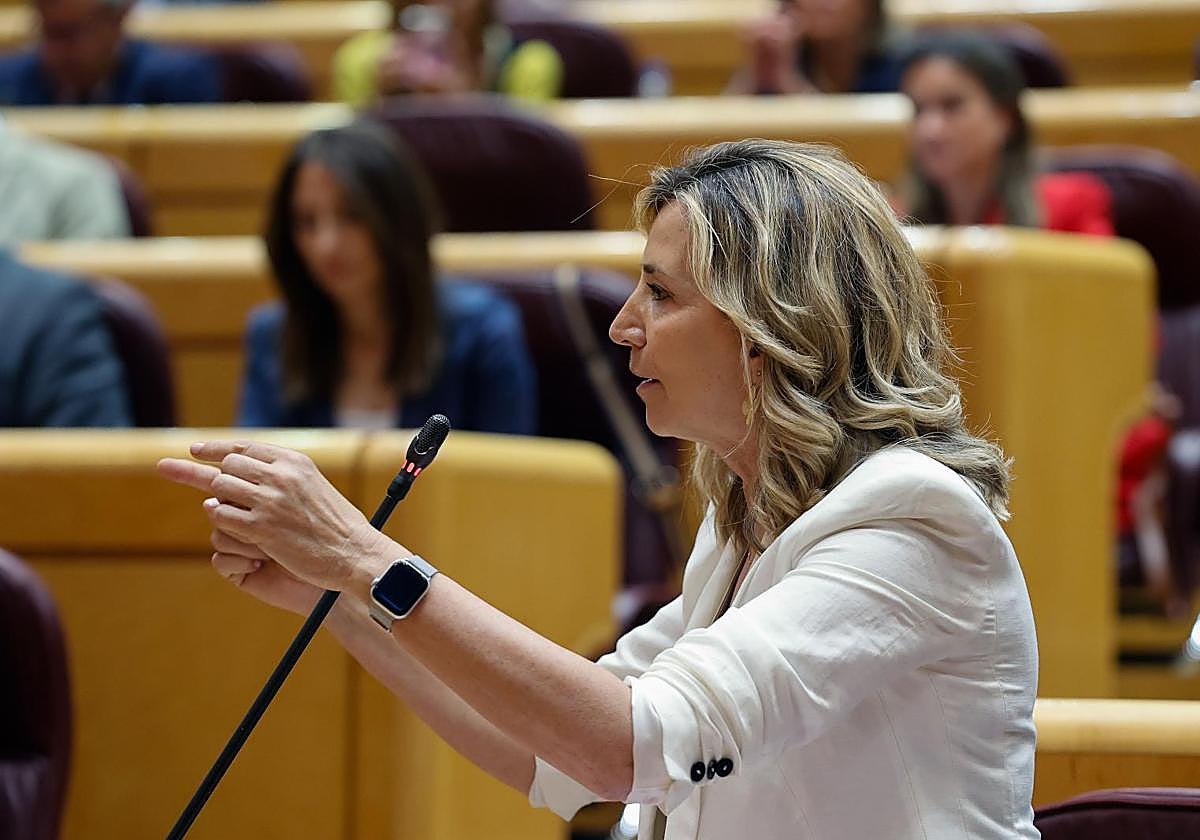 La portavoz del PP en el Senado, Alicia García, durante una intervención