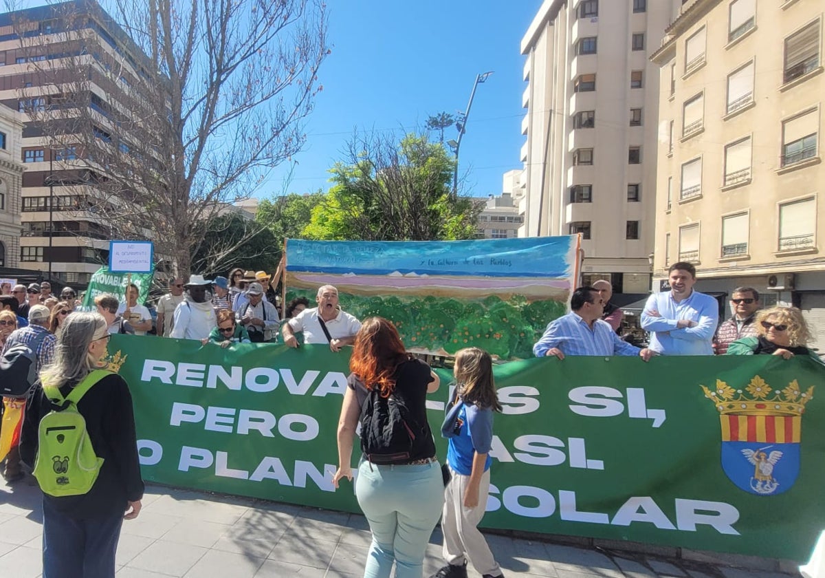 Manifestantes de San Miguel de Salinas durante una protesta esta semana ante la Subdelegación del Gobierno en Alicante contra la macroplantas solar.