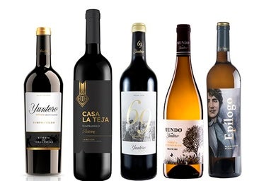 La bodega de Ciudad Real que ha arrasado en un importante concurso con oro para cinco de sus vinos