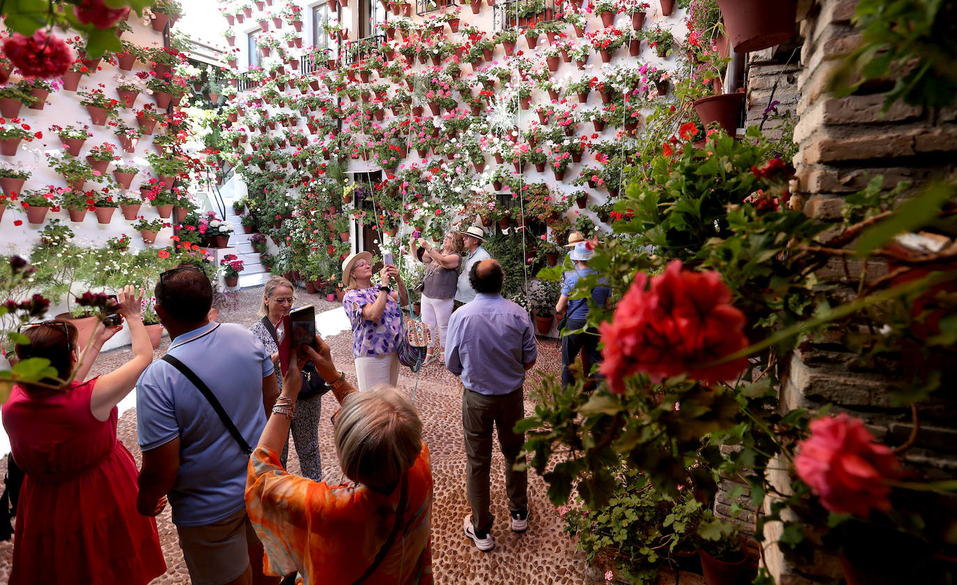 Las imponentes colas del último sábado de los Patios de Córdoba, en imágnes