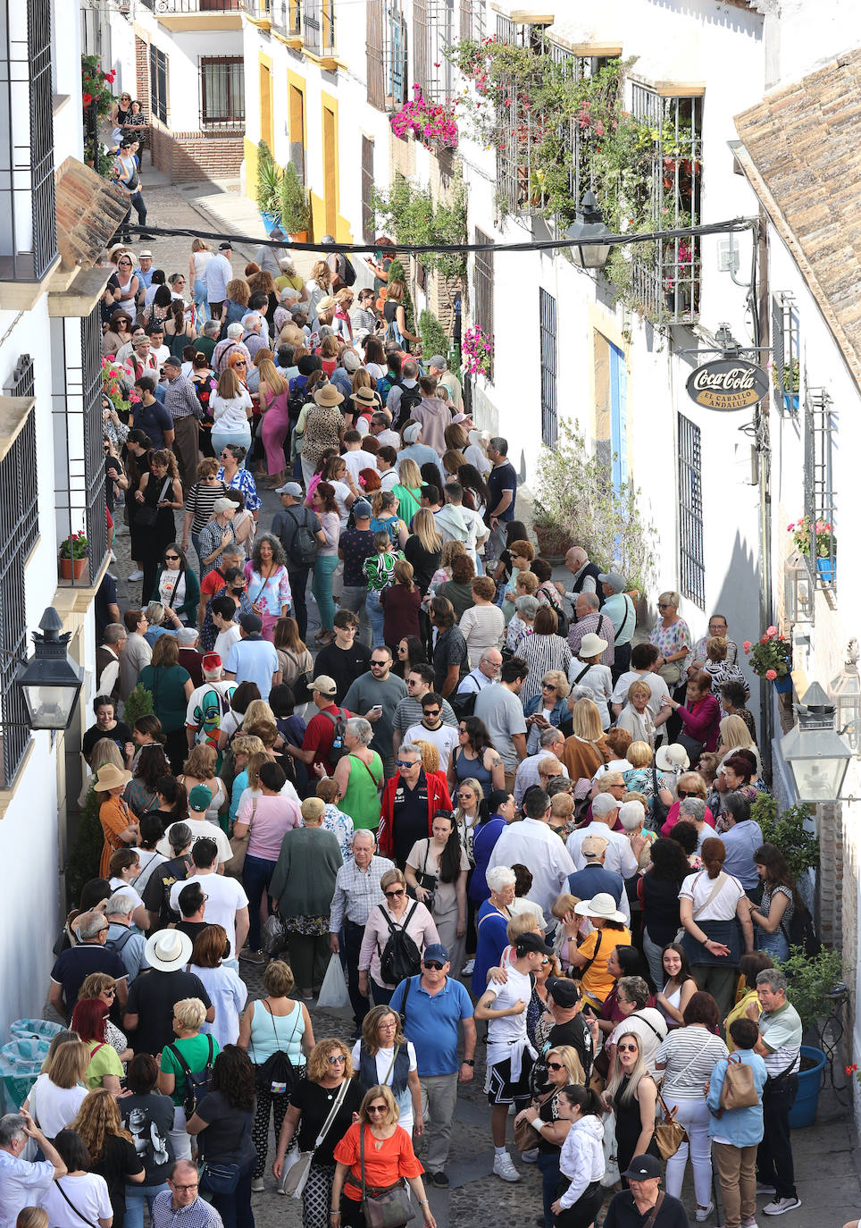 Las imponentes colas del último sábado de los Patios de Córdoba, en imágnes
