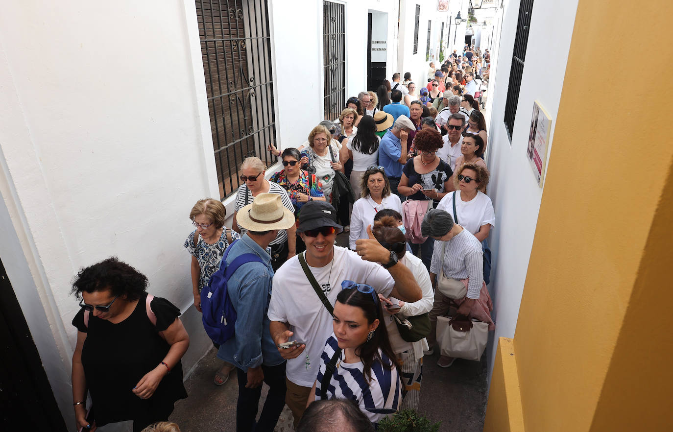 Las imponentes colas del último sábado de los Patios de Córdoba, en imágnes