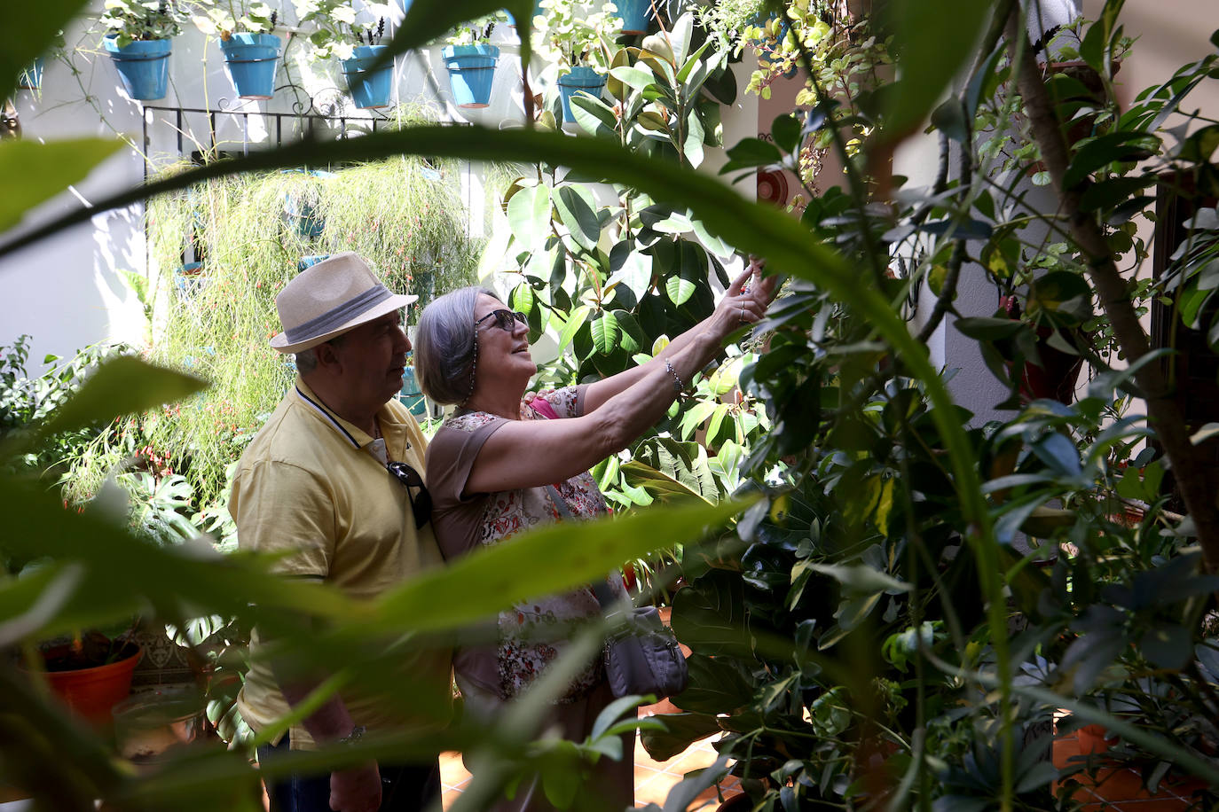 Las imponentes colas del último sábado de los Patios de Córdoba, en imágnes