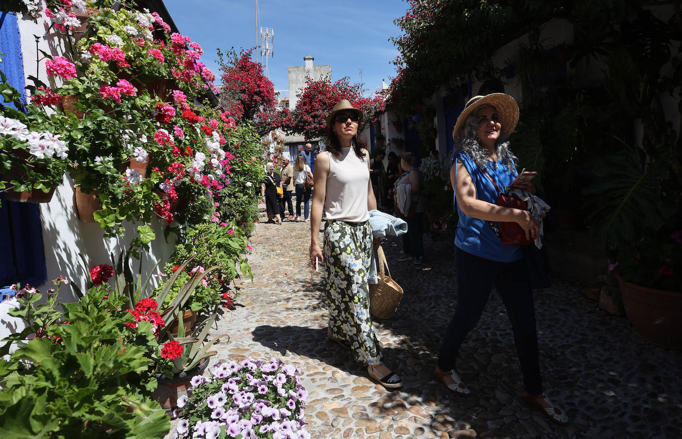 Las imponentes colas del último sábado de los Patios de Córdoba, en imágnes