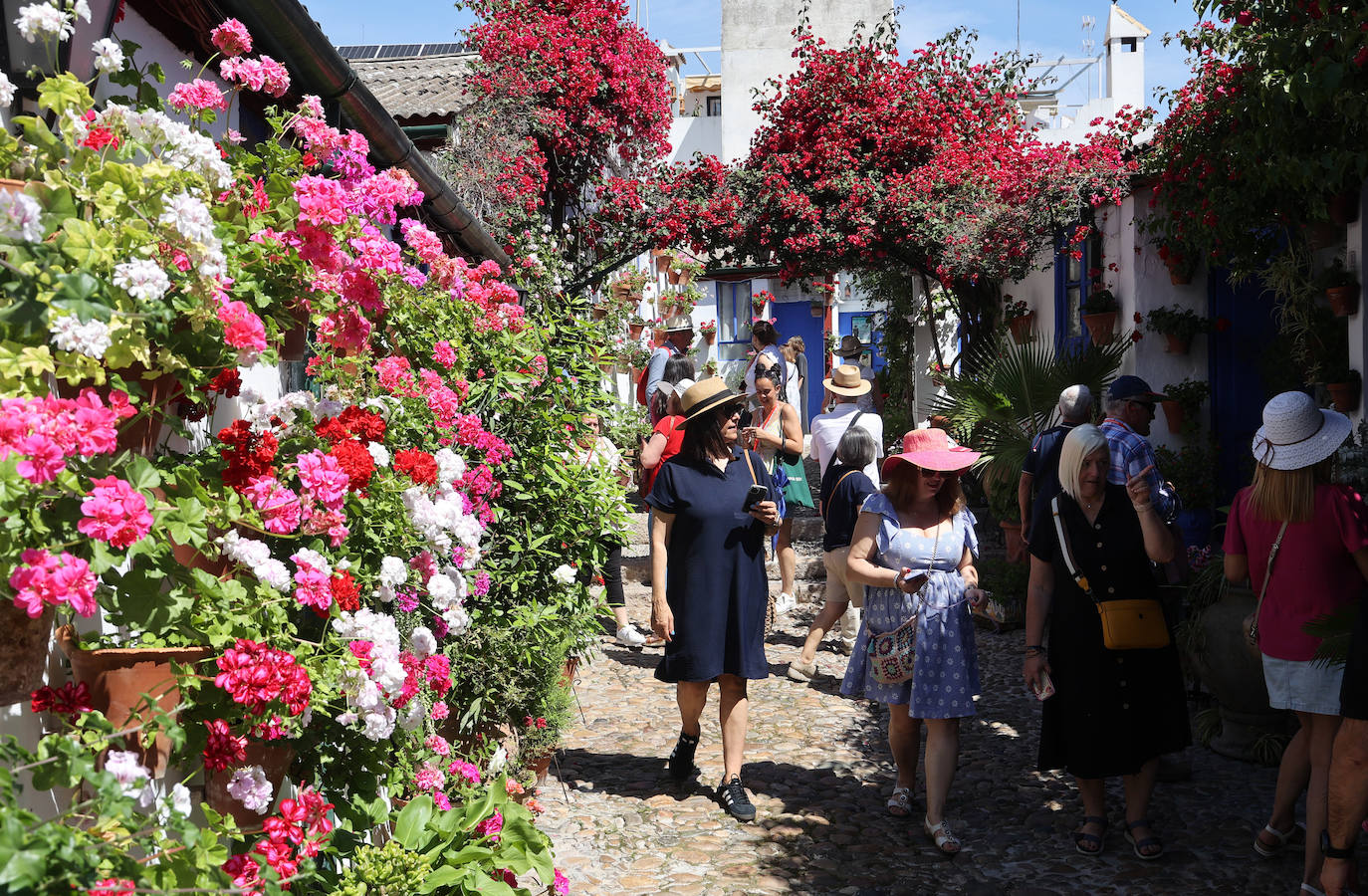 Las imponentes colas del último sábado de los Patios de Córdoba, en imágnes