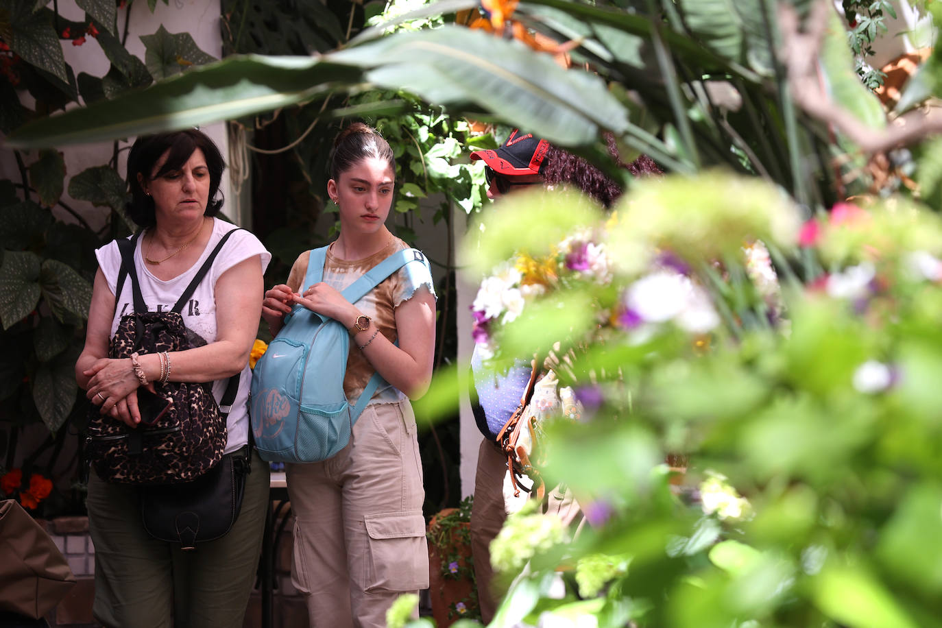 Las imponentes colas del último sábado de los Patios de Córdoba, en imágnes