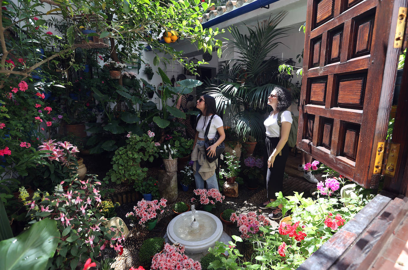 Las imponentes colas del último sábado de los Patios de Córdoba, en imágnes