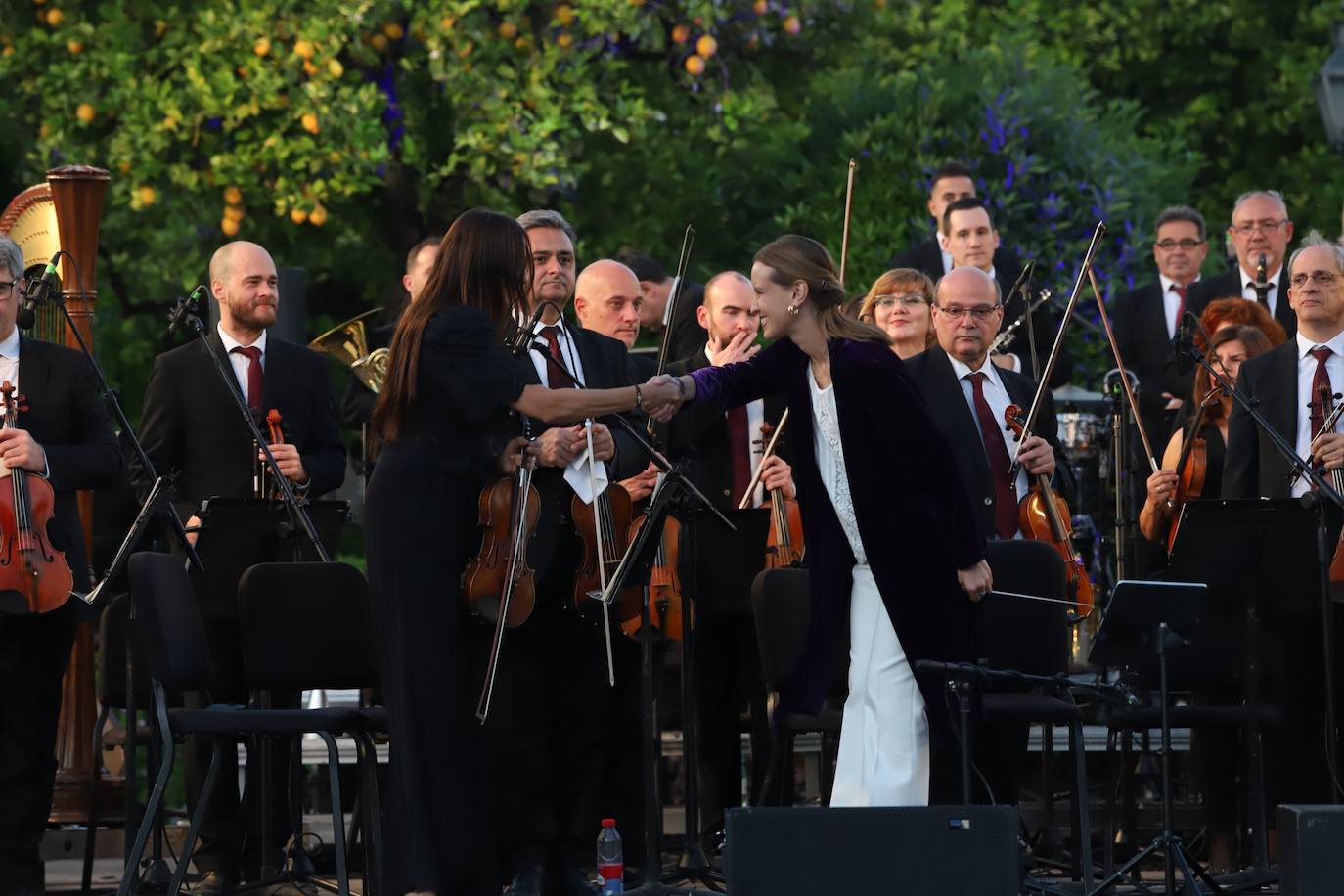 Las imágenes del concierto de la Orquesta de Córdoba en los Jardines del Alcázar