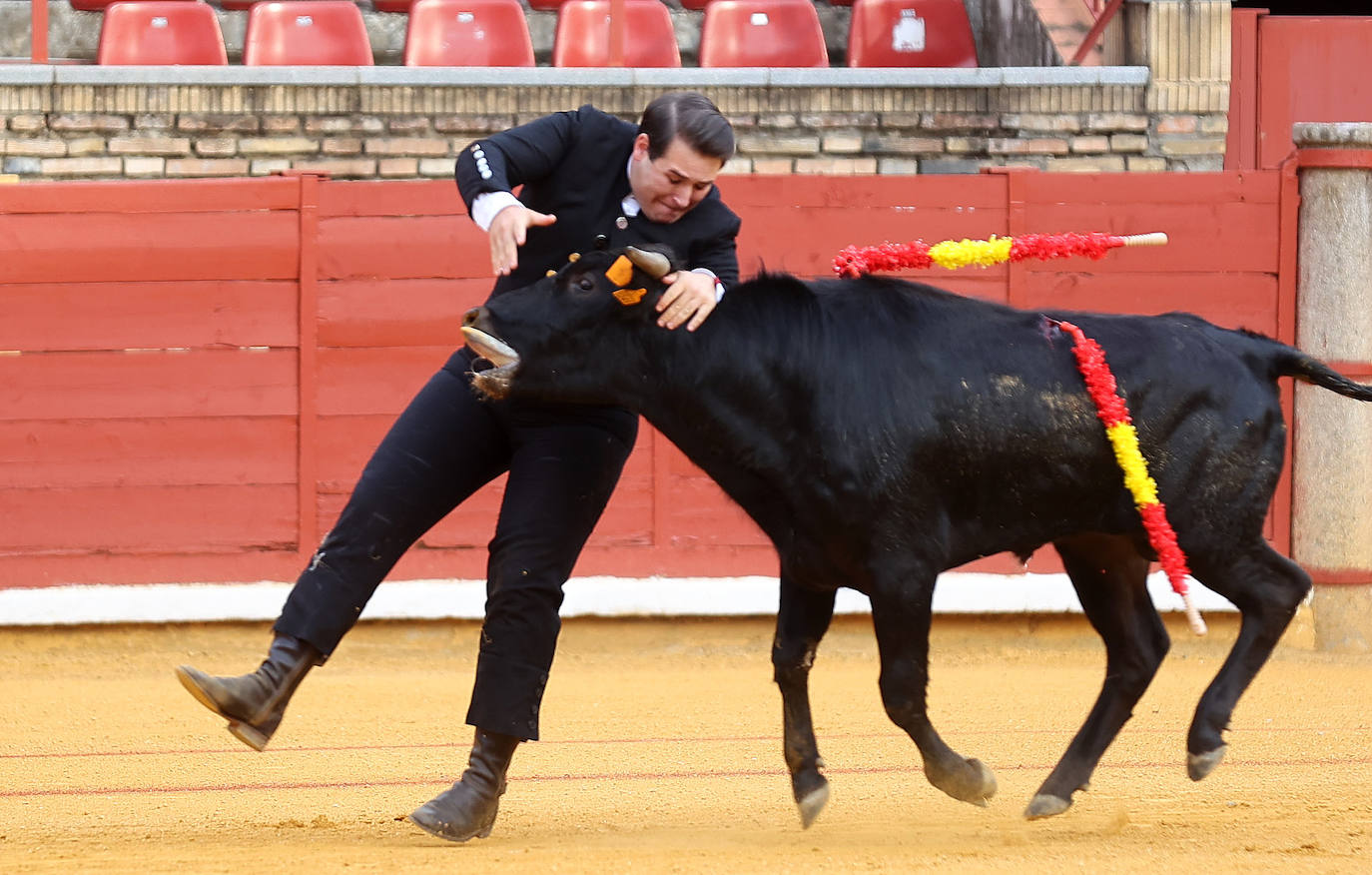 Las mejores fotos de la becerrada de homenaje a la afición cordobesa