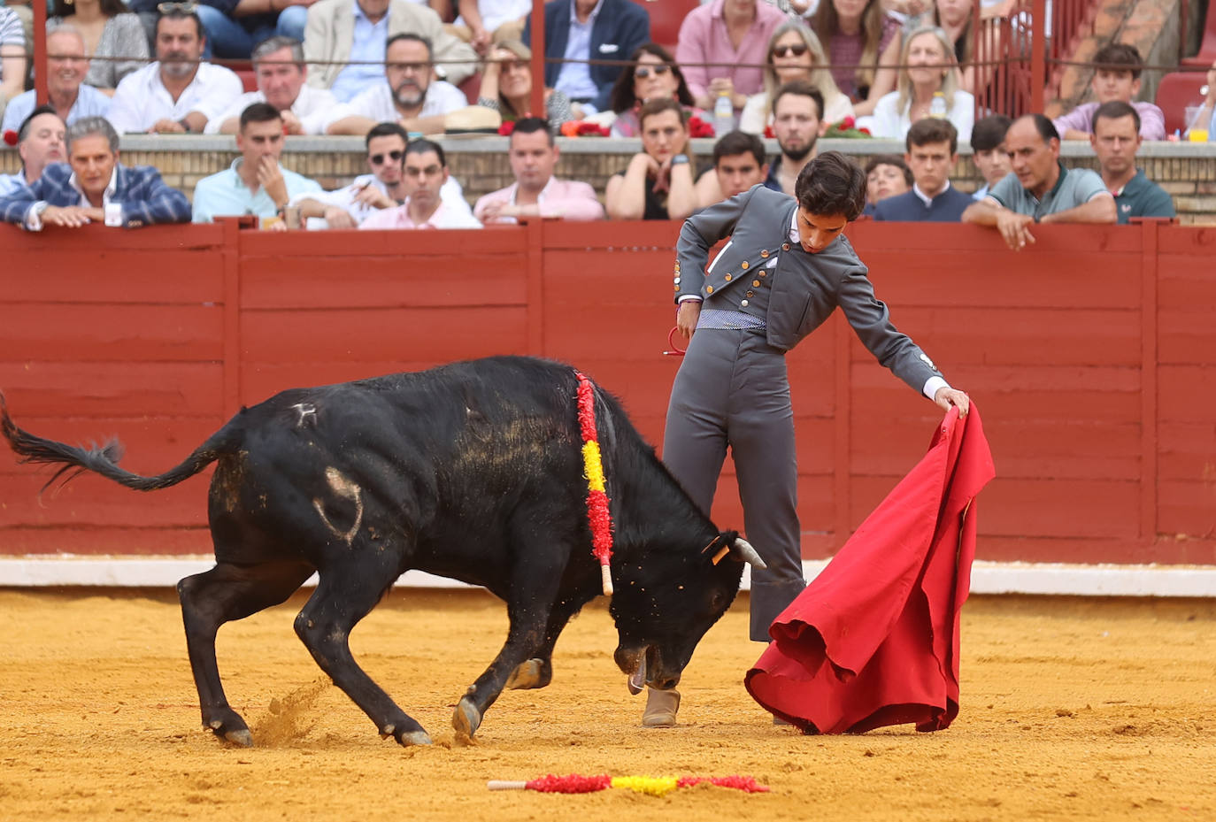 Las mejores fotos de la becerrada de homenaje a la afición cordobesa