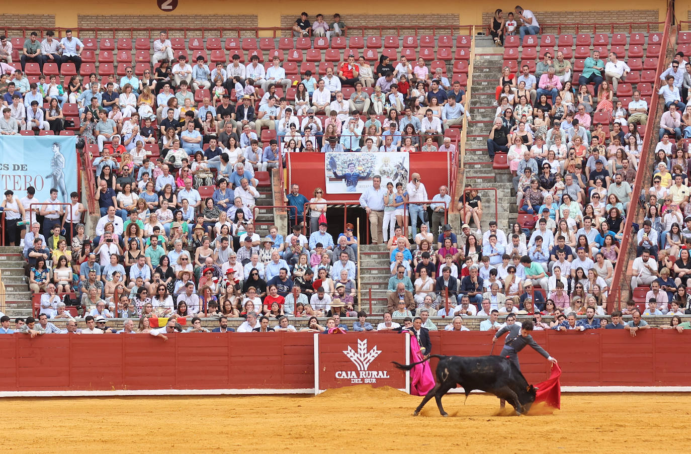 Las mejores fotos de la becerrada de homenaje a la afición cordobesa