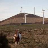 El TSXG suspende otros seis parques eólicos gallegos y el total ya alcanza los cuarenta