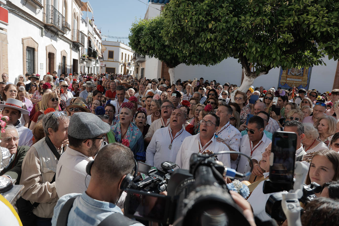 La Hermandad de Coria del Río ha iniciado hoy martes su peregrinación hacia la aldea del Rocío 