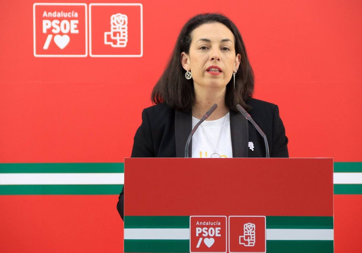 El PSOE-A exige a Moreno que repruebe la campaña del Ayuntamiento de Almería  que «vincula sexo y menores»