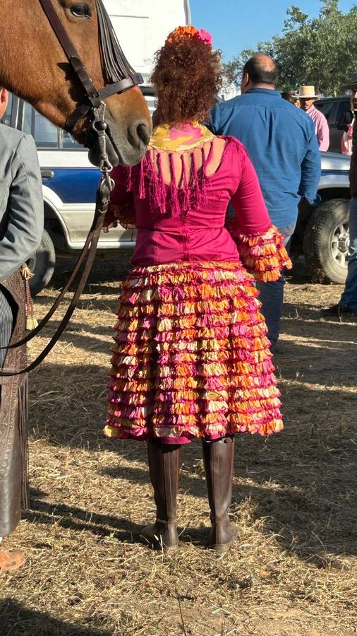 Estampas de la hermandad de Coria del Río en su segundo día de camino hacia El Rocío