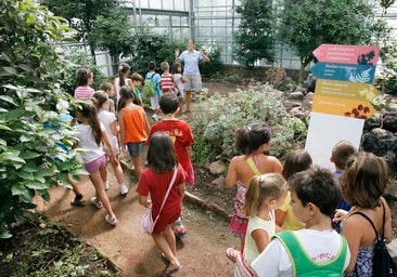 El Ayuntamiento abrirá 17 escuelas de verano con 2.000 plazas