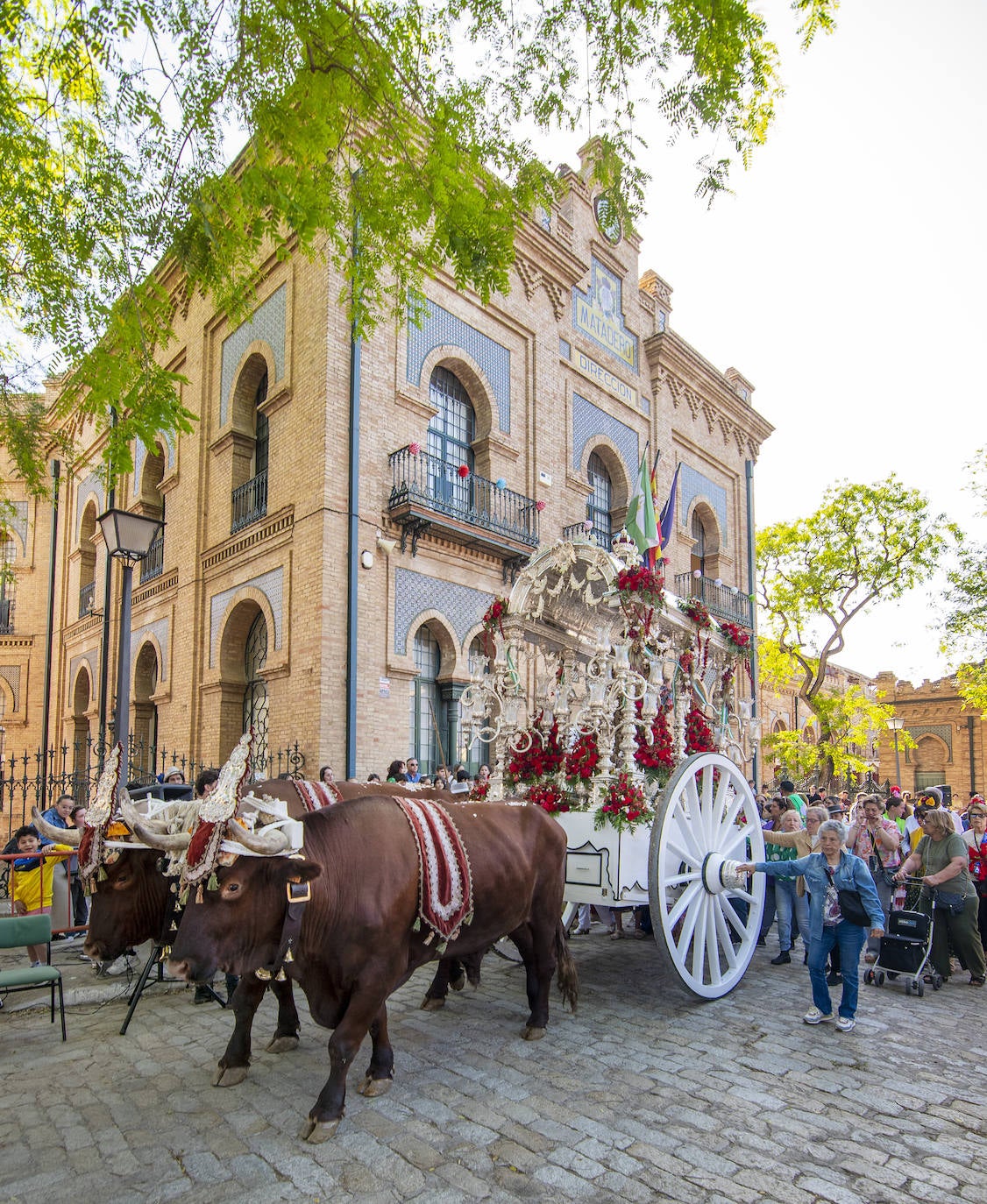 La Hermandad del Cerro inicia su peregrinación este miércoles a la aldea del Rocío 
