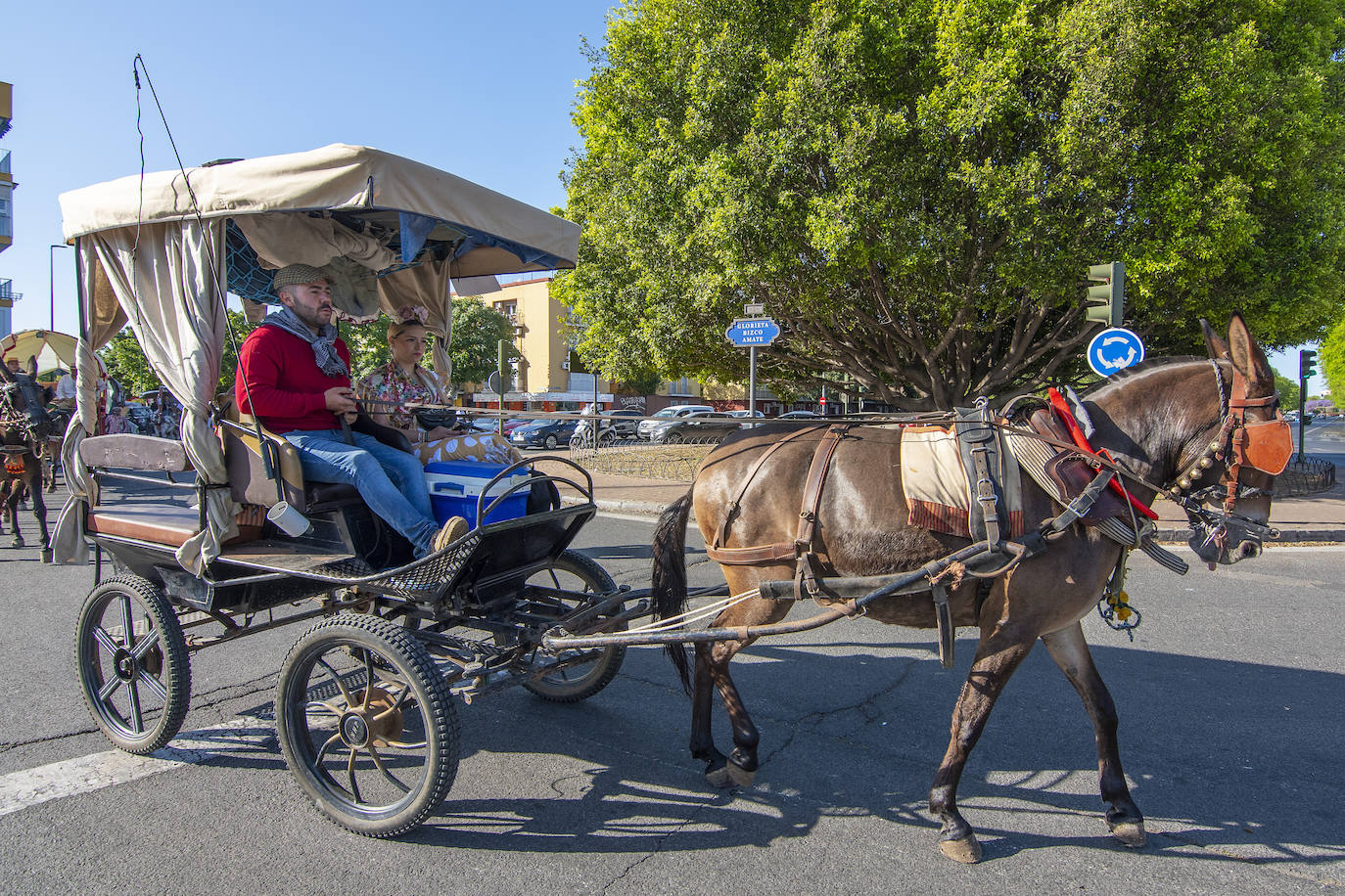 La Hermandad del Cerro inicia su peregrinación este miércoles a la aldea del Rocío 