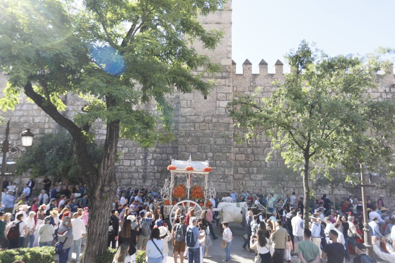 Salida de la Hermandad de Sevilla-El Salvador en su peregrinación a la Aldea del Rocío