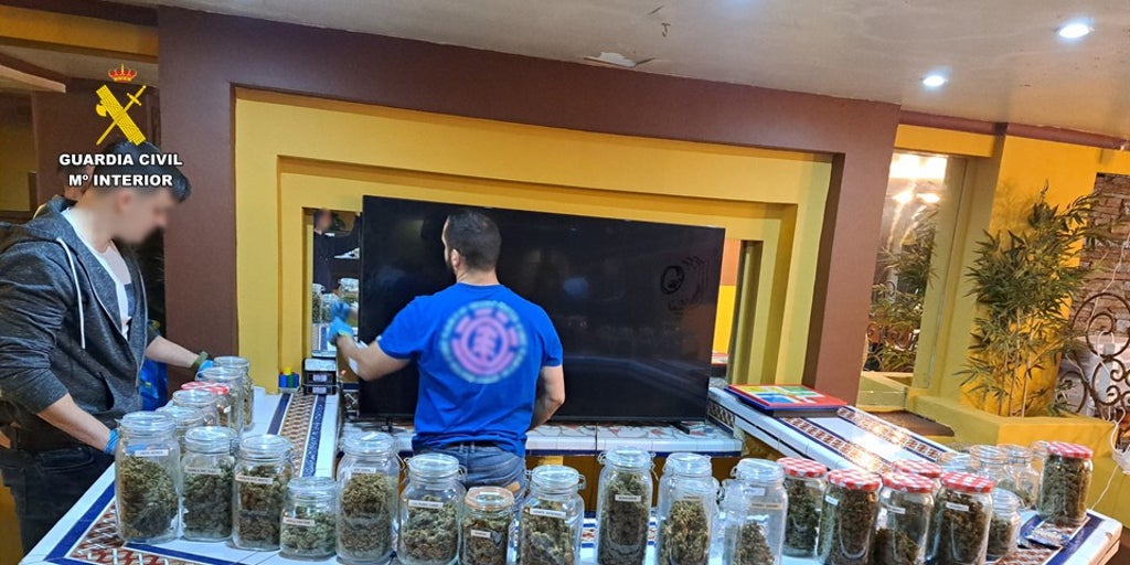 asociacion-cannabis-torrevieja-U77114074