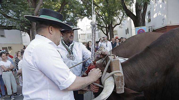 Sevilla Sur parte al Rocío con récord de peregrinos