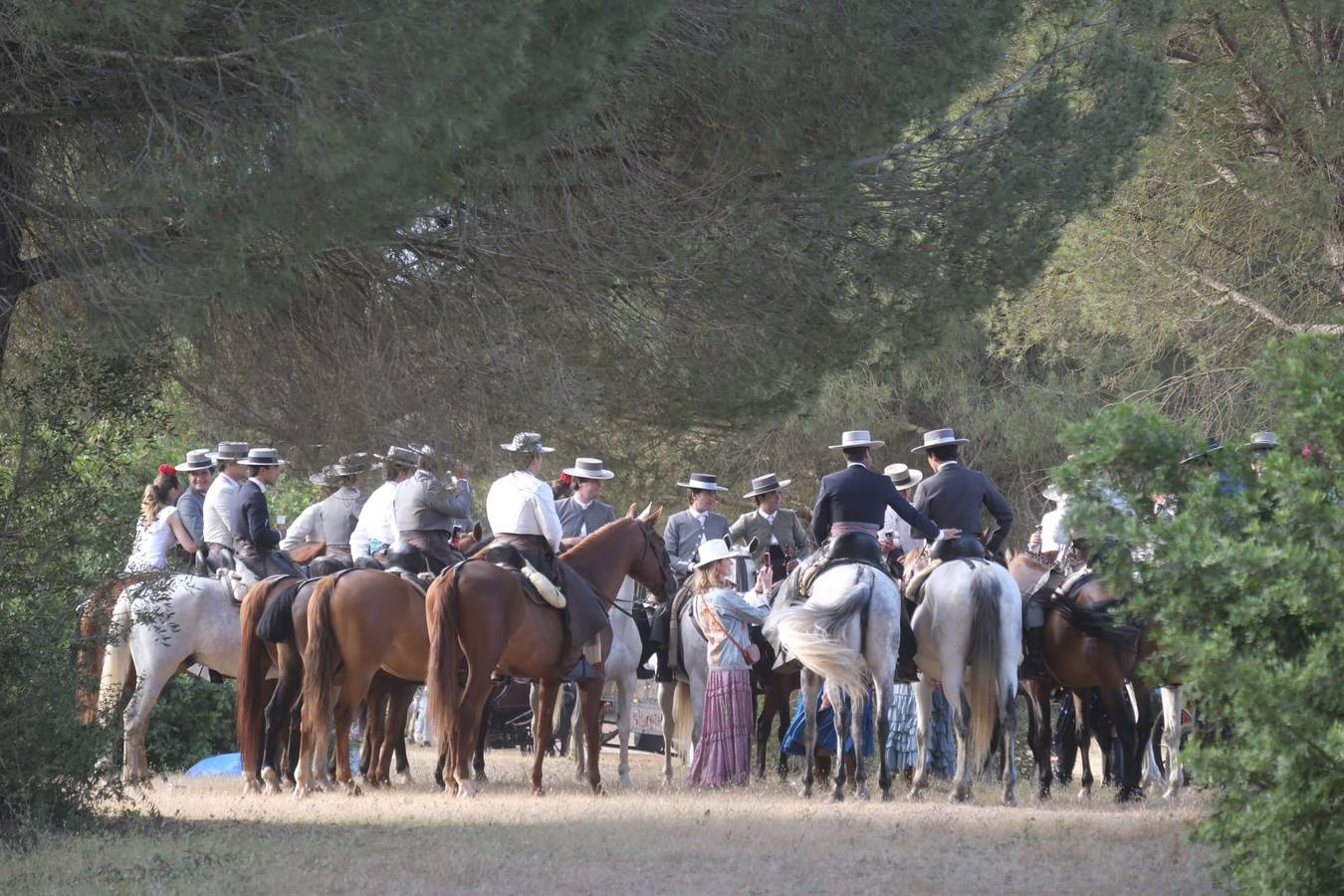 El Simpecado de la Hermandad del Rocío de Sevilla pasa el vado del Quema camino a Almonte 